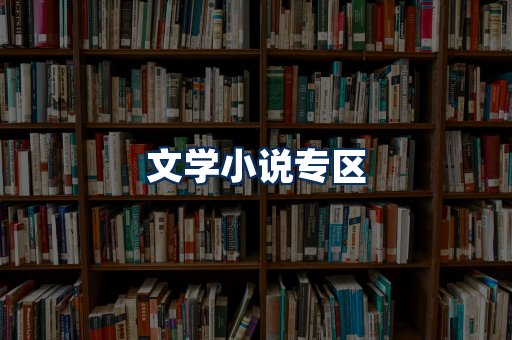文学小说PDF展示
